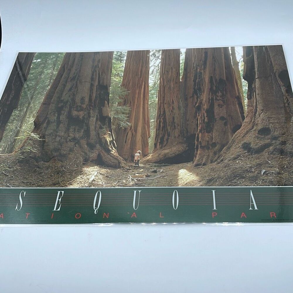 Vintage Souvenir placemat 2 sided  Kings Canyon Sequoia  N.P.